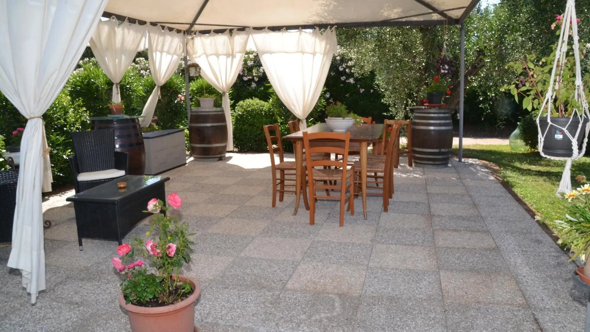 Guest house La Mimosa Hotel Bolgheri