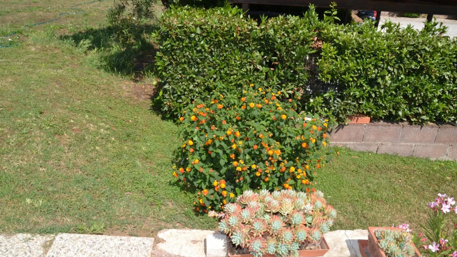 La Mimosa Hotel Bolgheri Guest house