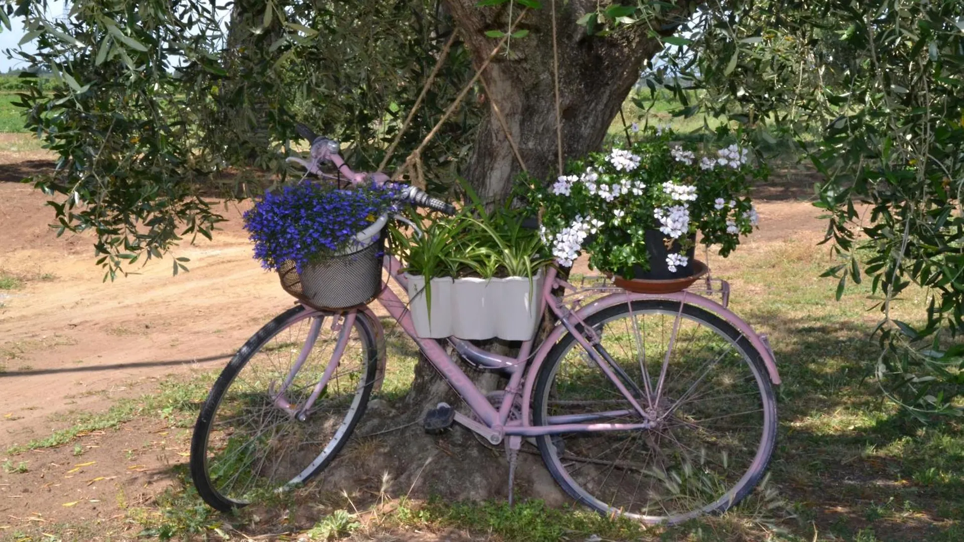 La Mimosa Hotel Bolgheri