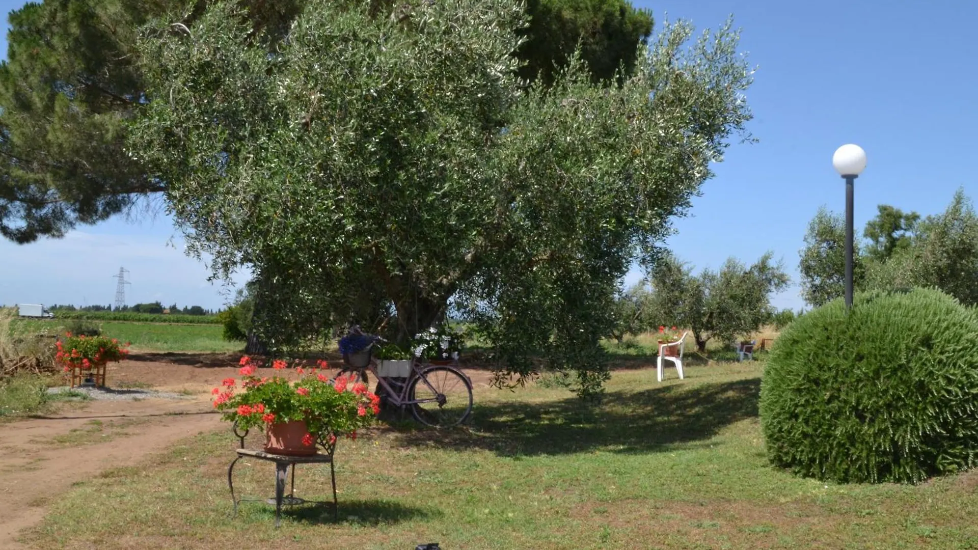 La Mimosa Hotel Bolgheri 2*,