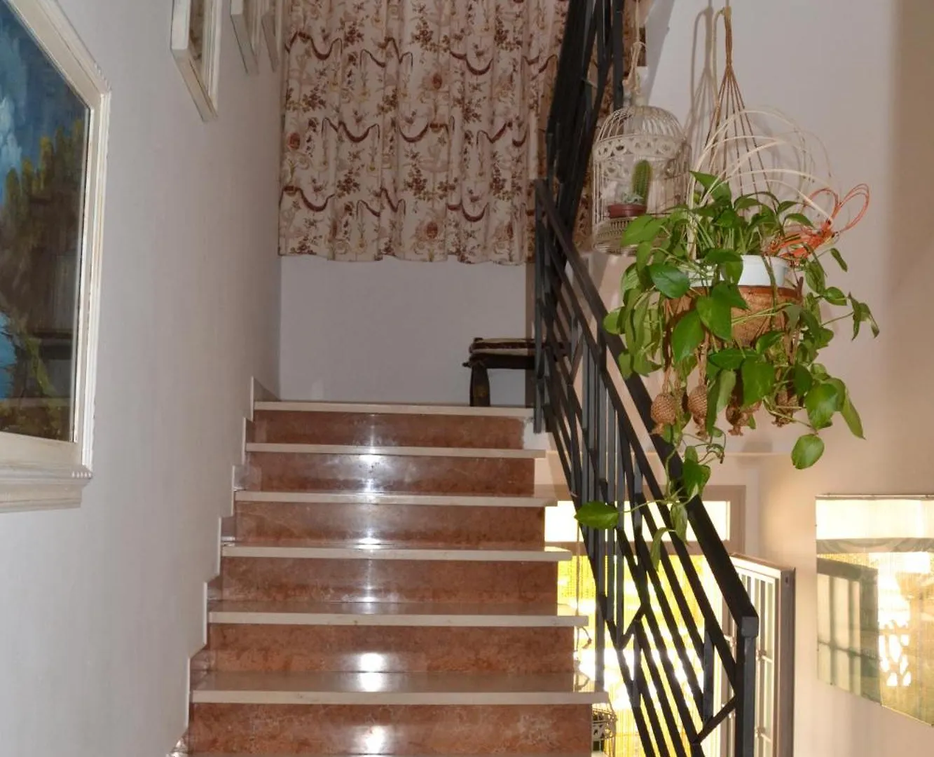 La Mimosa Hotel Bolgheri Guest house