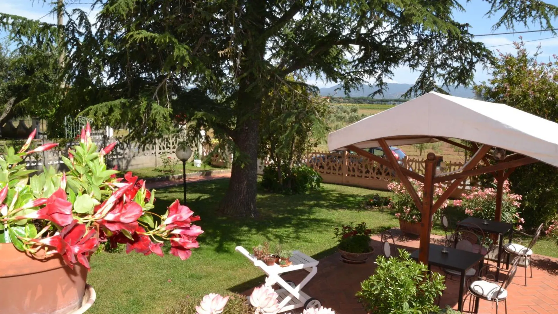 La Mimosa Hotel Bolgheri Guest house