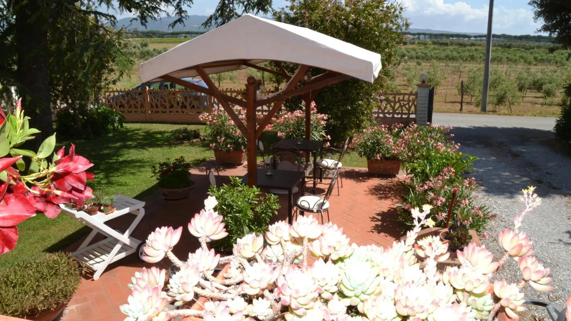 ** Guest house La Mimosa Hotel Bolgheri Italy