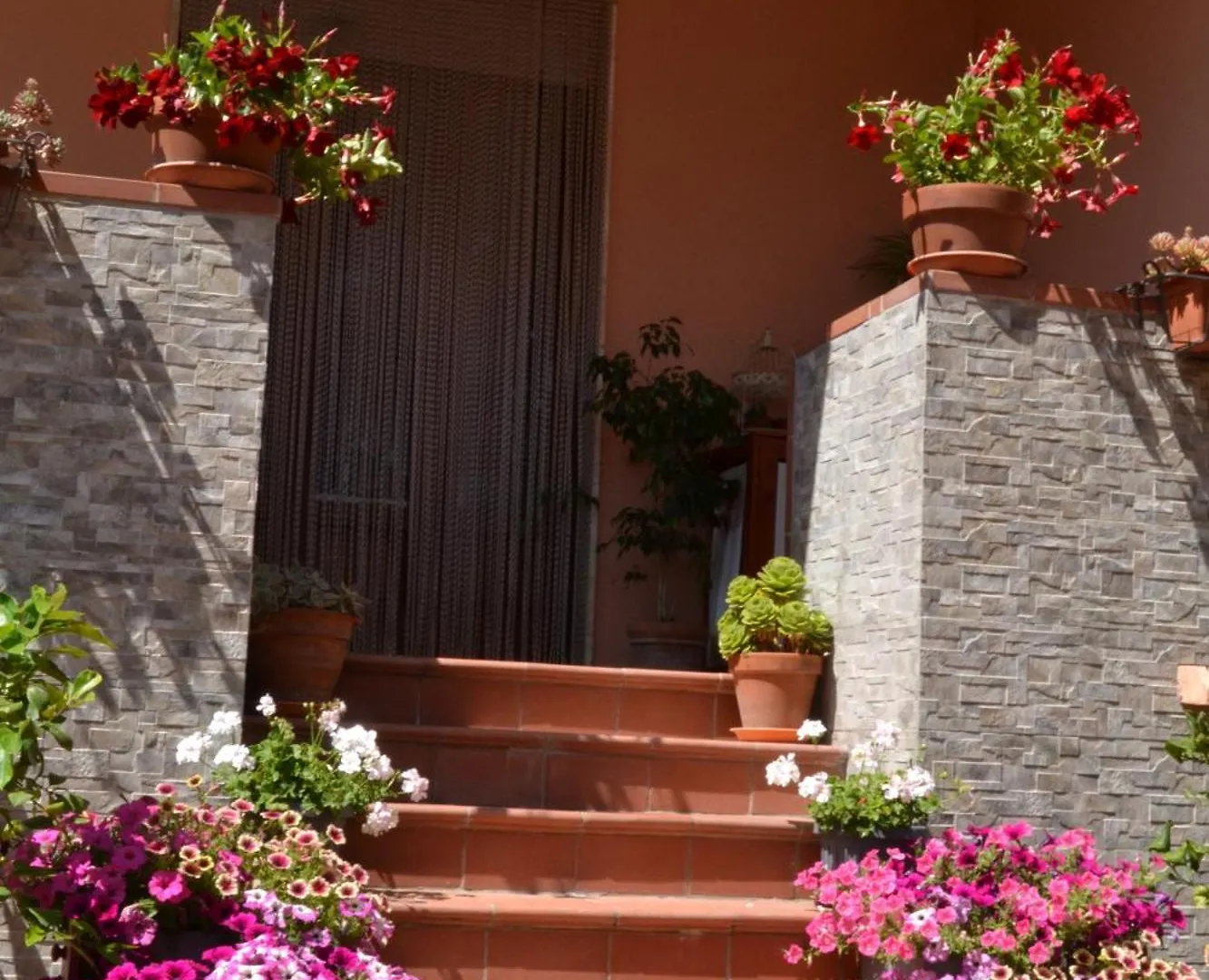 Guest house La Mimosa Hotel Bolgheri