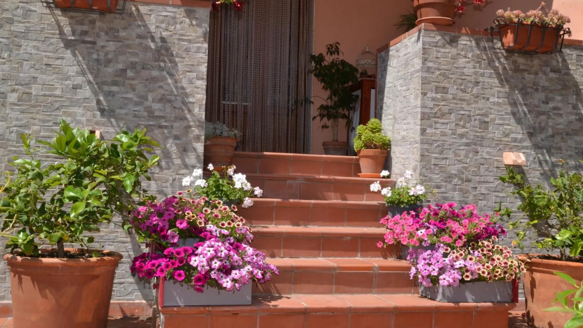 La Mimosa Hotel Bolgheri
