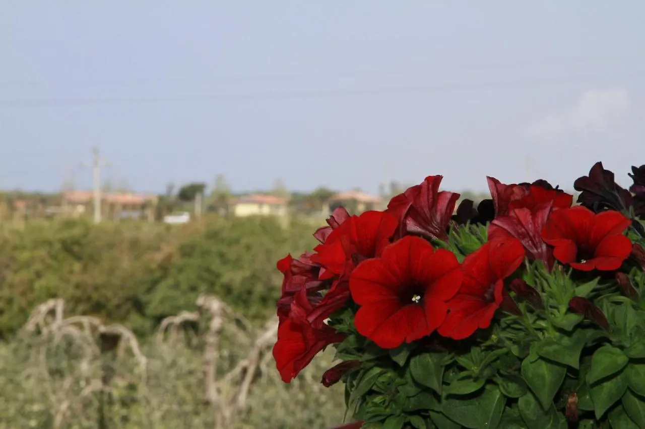 Guest house La Mimosa Hotel Bolgheri