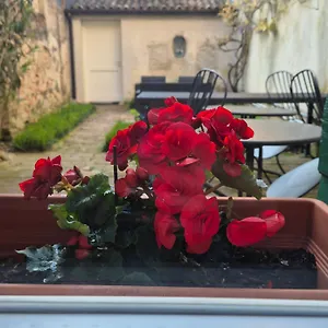 Bed & Breakfast 19 Borgo Cavour ***